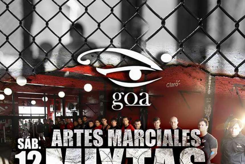 Exhibicion-MMA-Parque-Chacabuco_OLEIMA20151208_0260_28
